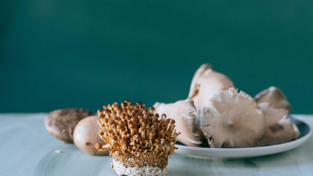 Small brown nameko mushrooms placed on white table of kitchen on green background