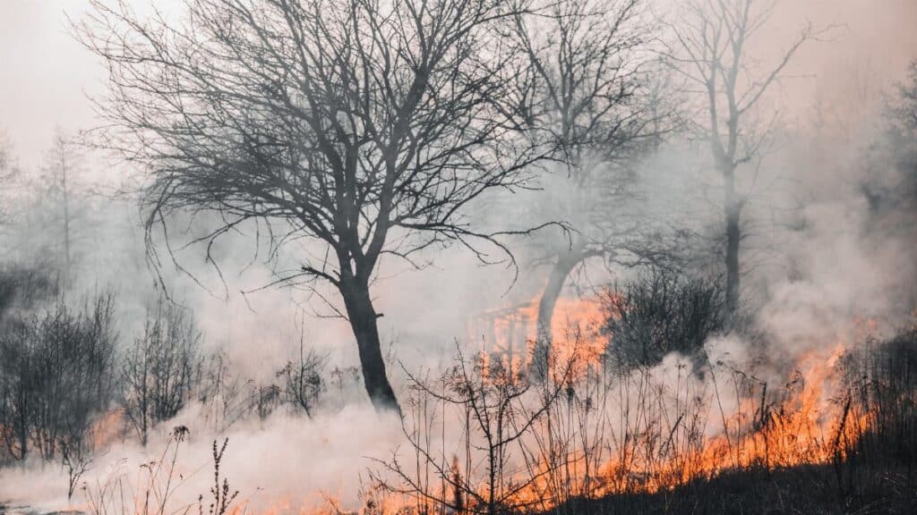 A devastating wildfire engulfing trees and landscape in Kyiv Oblast, creating a smoke-filled, haunting environment.