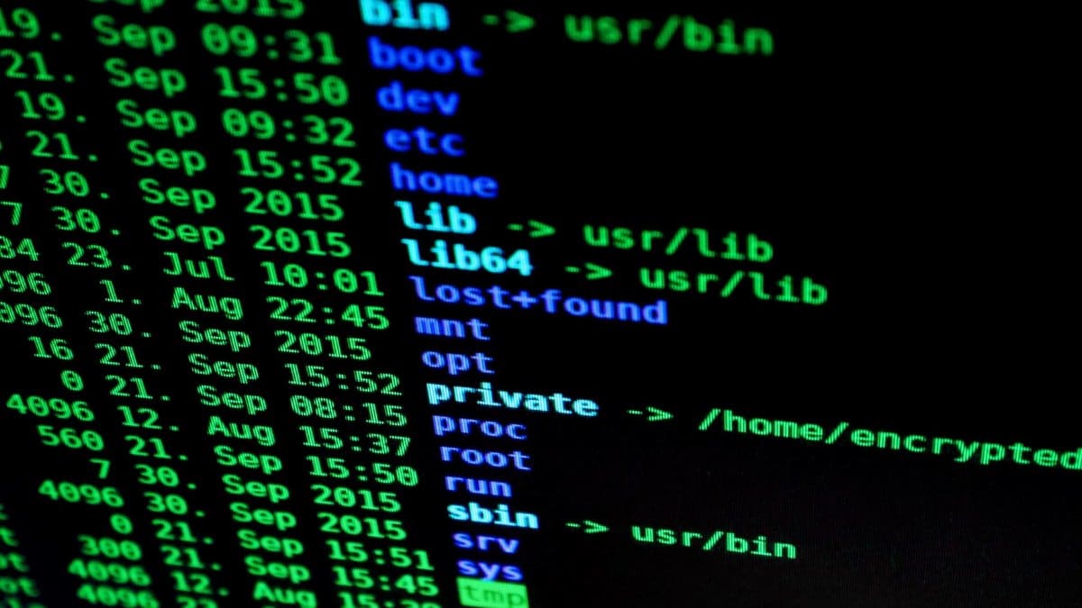 Close-up of colorful text on a computer screen, showcasing cybersecurity concepts.