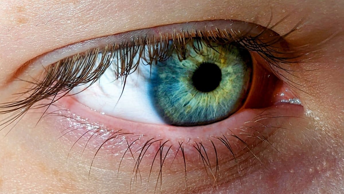 Detailed macro shot of a blue-green human eye showcasing intricate details of the iris.