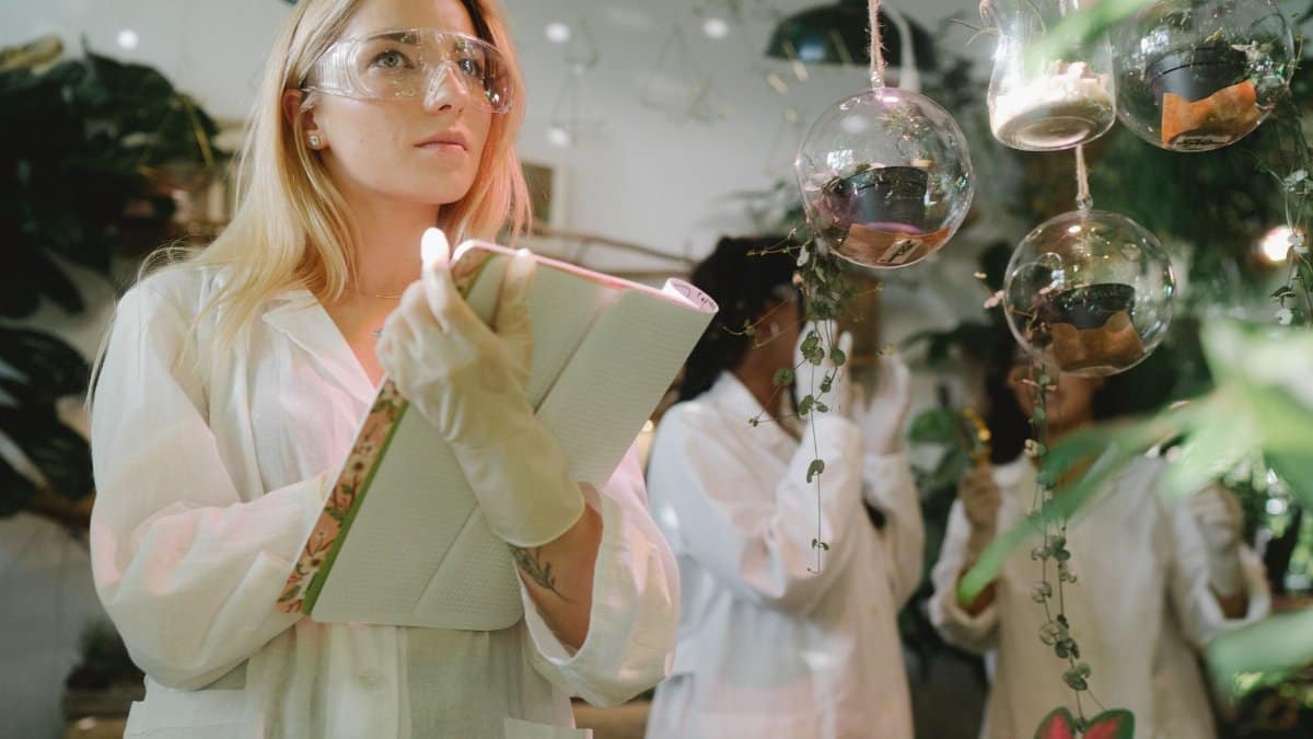 Female scientist observing plant experiments in a lab setting.