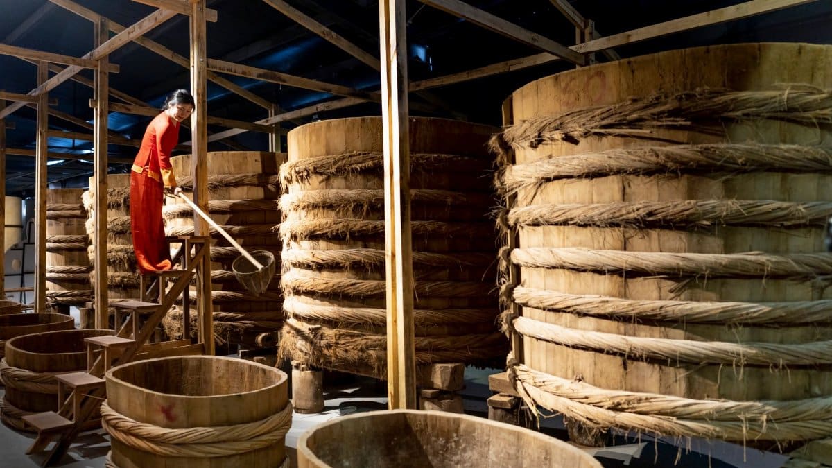Full body of ethnic female worker standing on ladder and working in fish sauce factory
