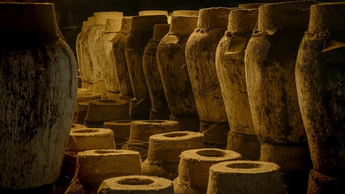 A collection of ancient clay amphorae displayed in a dimly lit warehouse, evoking historical ambiance.