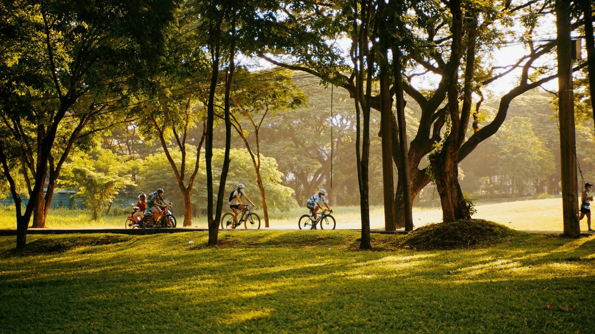 Cyclists ride through a lush, sunlit park. Perfect for outdoor recreation themes.