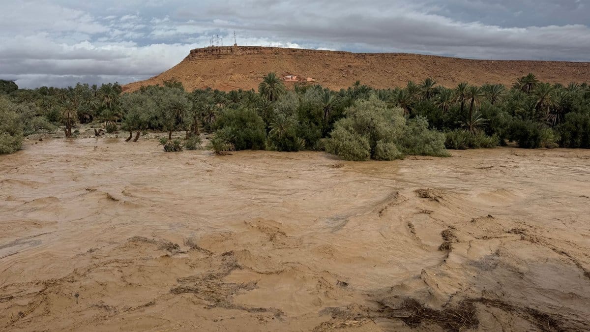 A dramatic flood event in Morocco showcasing nature's power with rushing waters and lush surroundings.