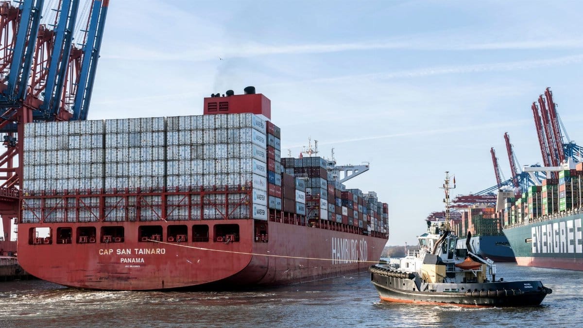 Large container ships moored at Hamburg Harbor, showcasing maritime shipping industry.