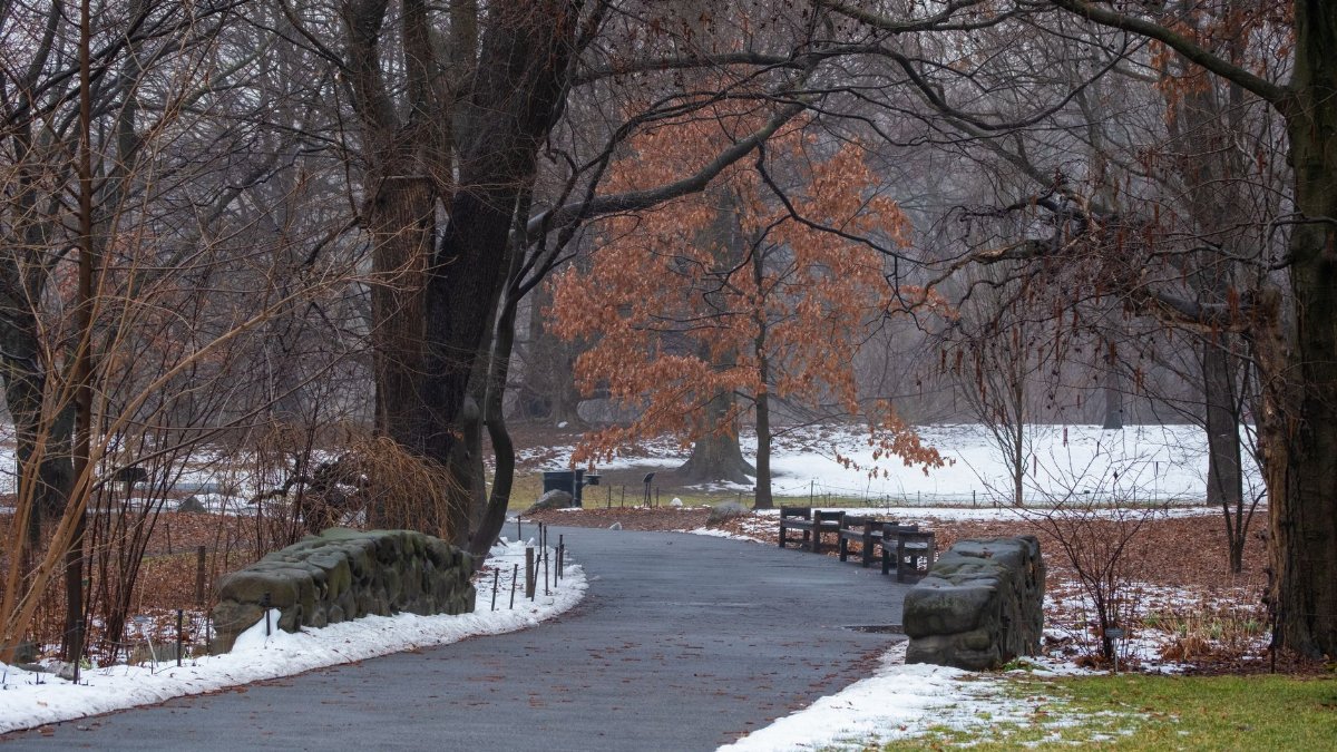 A serene winter scene of a snow-dusted path through a quiet park.
