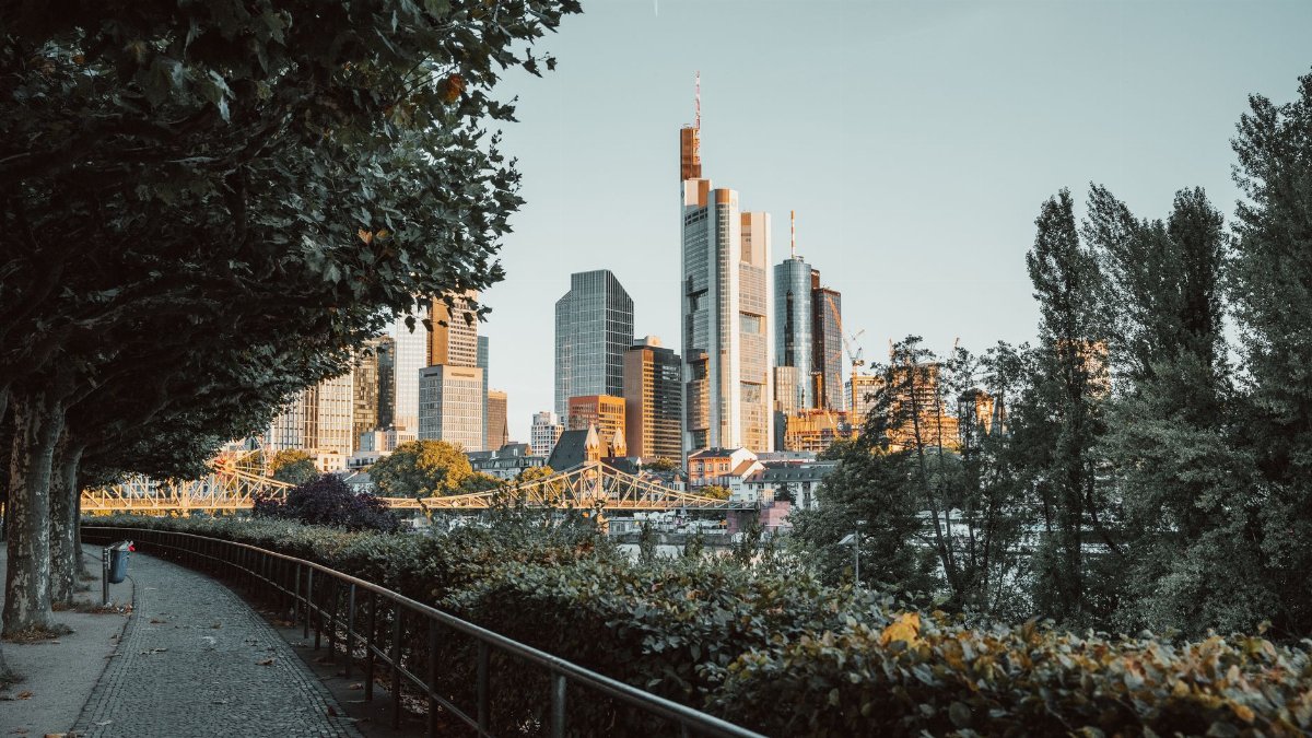 A scenic walkway leading towards a city skyline with skyscrapers and trees lining the path.