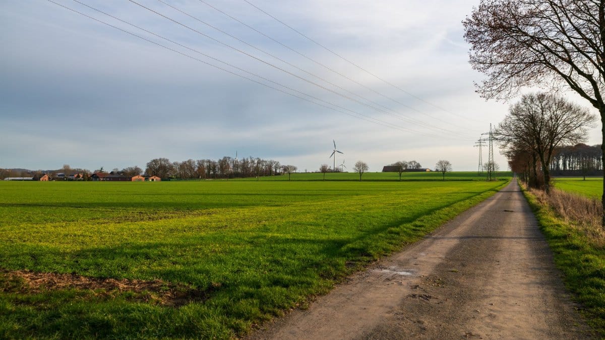 Expansive green fields with wind turbines under a clear sky, showcasing sustainable countryside energy.