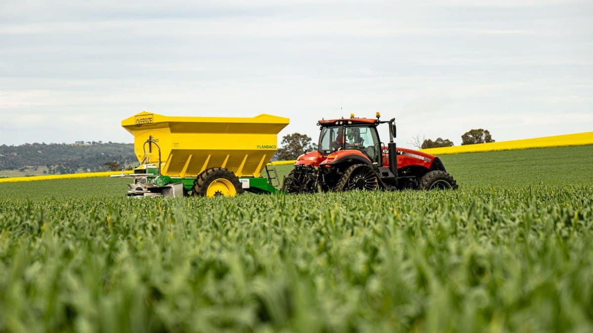 A red tractor pulling a yellow spreader in a lush green wheat field under a cloudy sky.