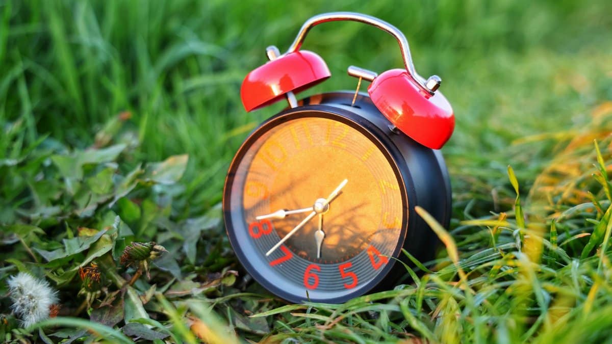 Classic red alarm clock resting on vibrant grass, symbolizing the passage of time.