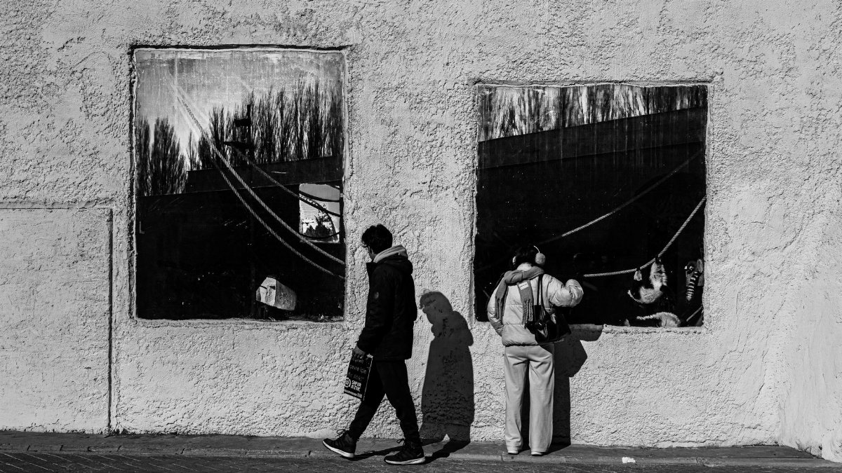 Captivating black and white photo capturing reflections in street windows and passersby.