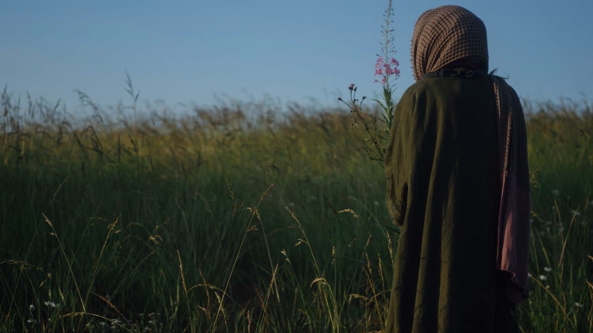 A person stands in a tranquil grassy field under a clear blue sky.