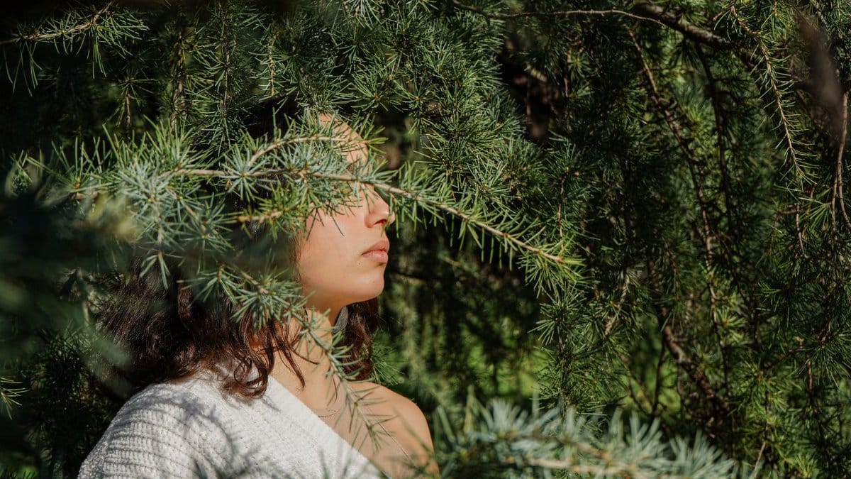A serene woman surrounded by lush cedar branches outdoors, capturing solitude in nature.