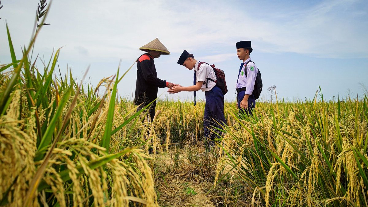 Indonesian students showing respect to a farmer in a rice field in Subang, Jawa Barat.