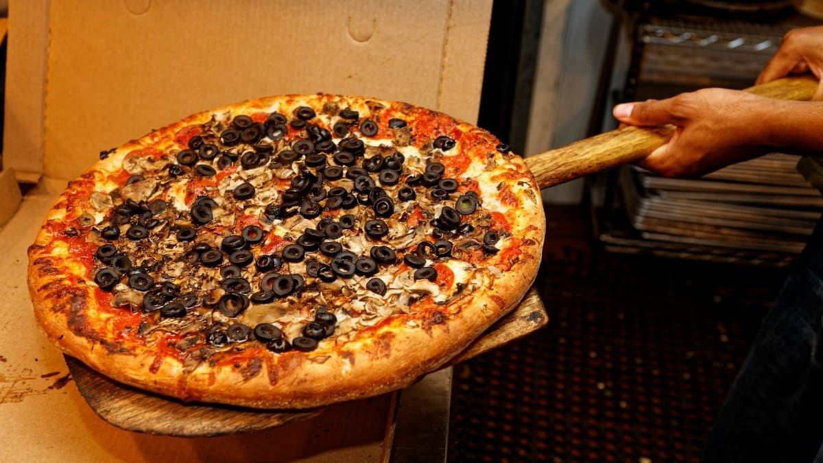 Appetizing pizza with olives and mushrooms being served fresh from the oven.