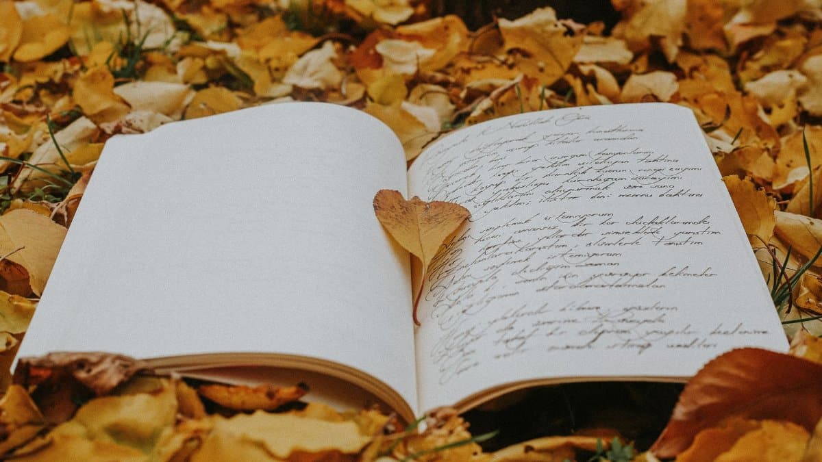 An open book on a bed of autumn leaves with a heart-shaped leaf as a bookmark, symbolizing love for literature.