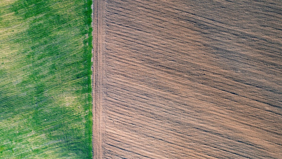 A striking aerial view showing contrasting green and brown agricultural fields in Romania.