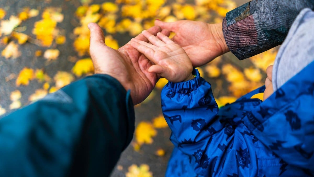 Top view of adults and child hand in autumn park, symbolizing family bond.