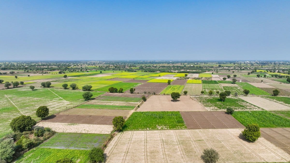 Vibrant aerial view of diverse farmland patchwork during summer, showcasing agricultural diversity.
