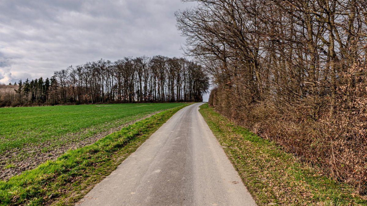 A solitary road meanders through fields and bare winter trees, creating a serene rural scene.