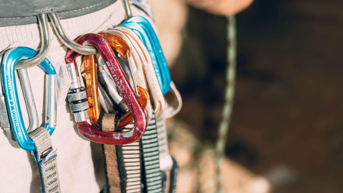 Detailed shot of climbing equipment with various carabiners attached to harness.