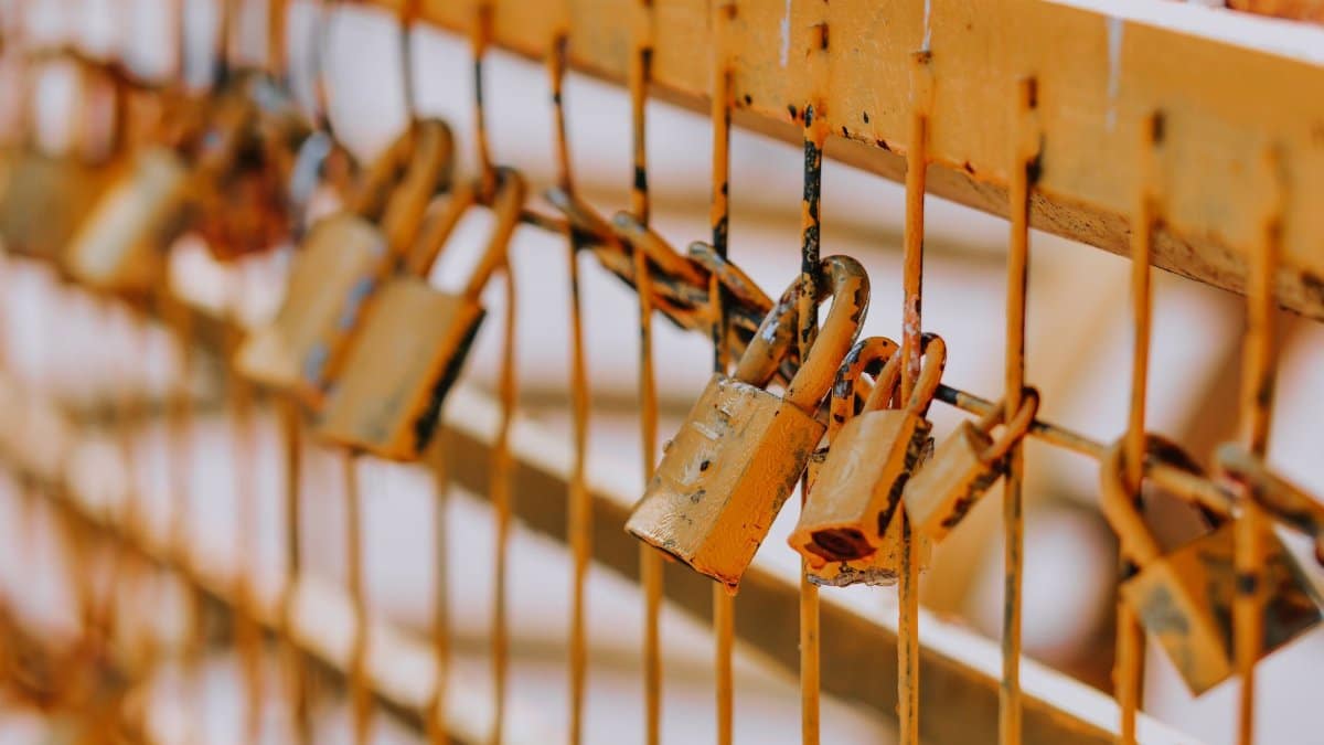 A detailed shot highlighting several rusty padlocks attached to a metal fence, symbolizing security and decay.