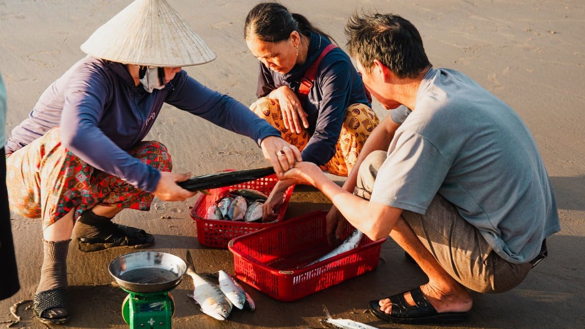 Local fishmongers at work on a beach in Quảng Trị, Vietnam, engaging in traditional fish trading.
