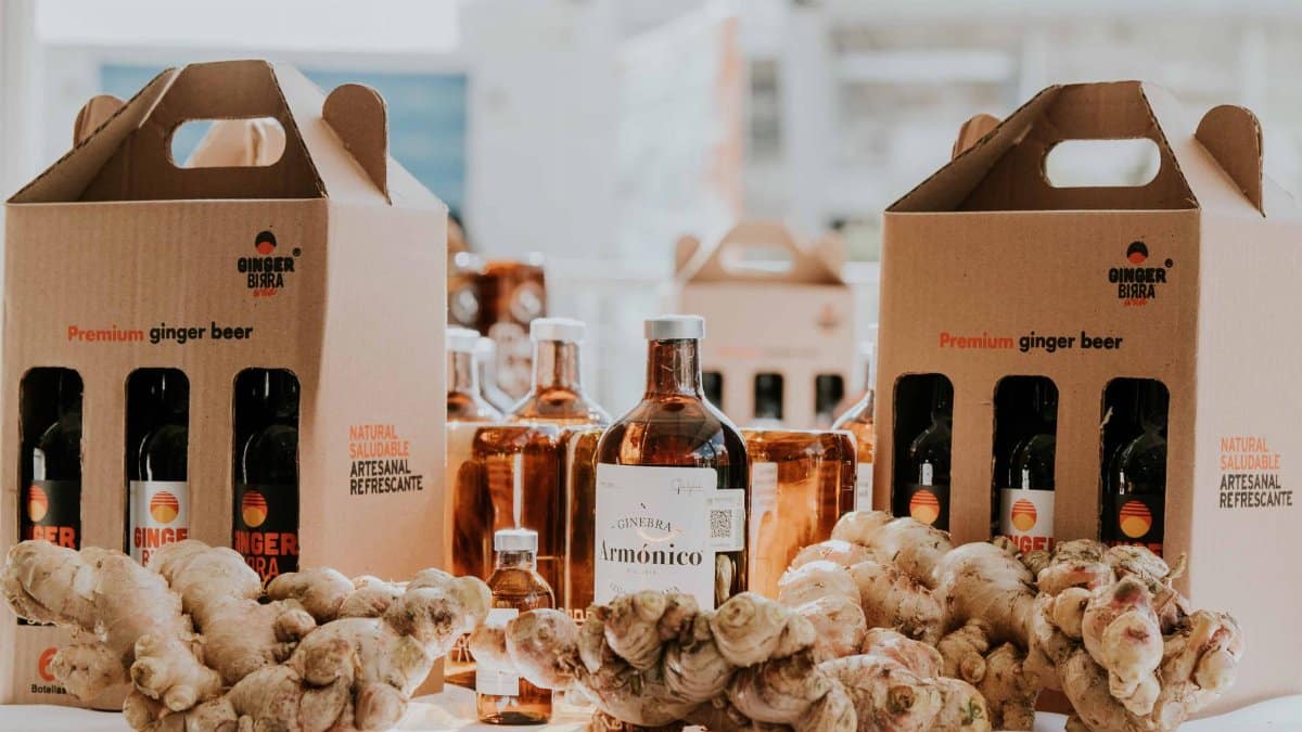 Showcasing premium ginger beer bottles accompanied by fresh ginger roots on a display table.