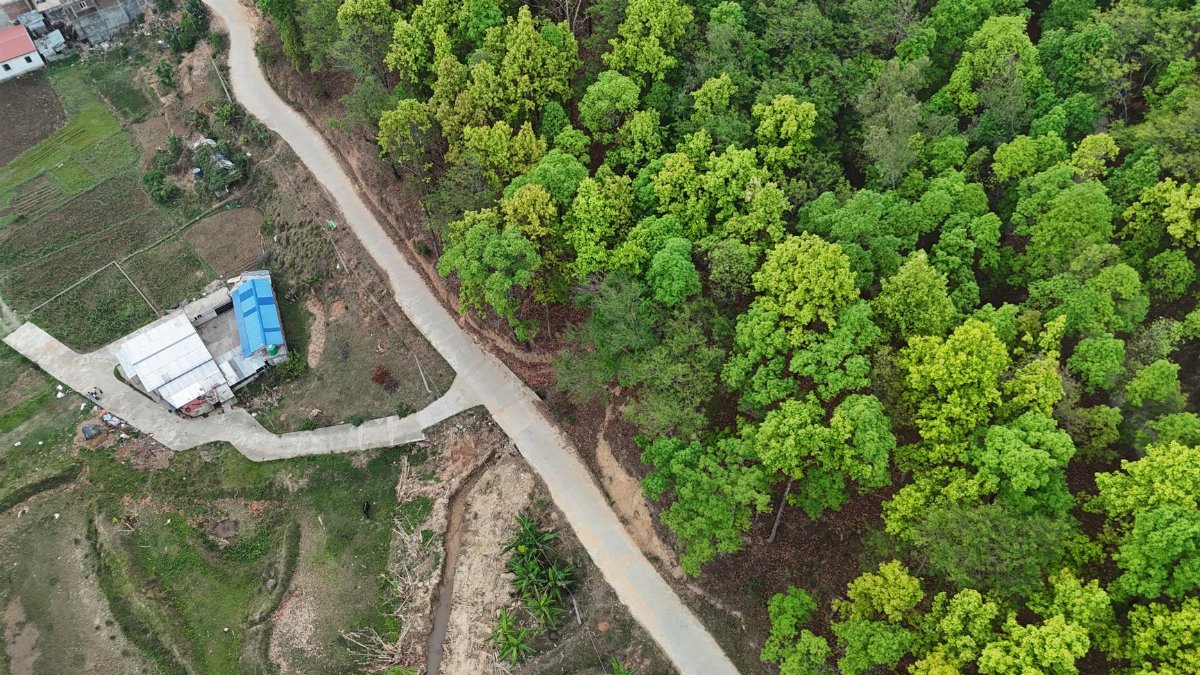 A scenic aerial shot showing a winding road through verdant forest and rural landscape.