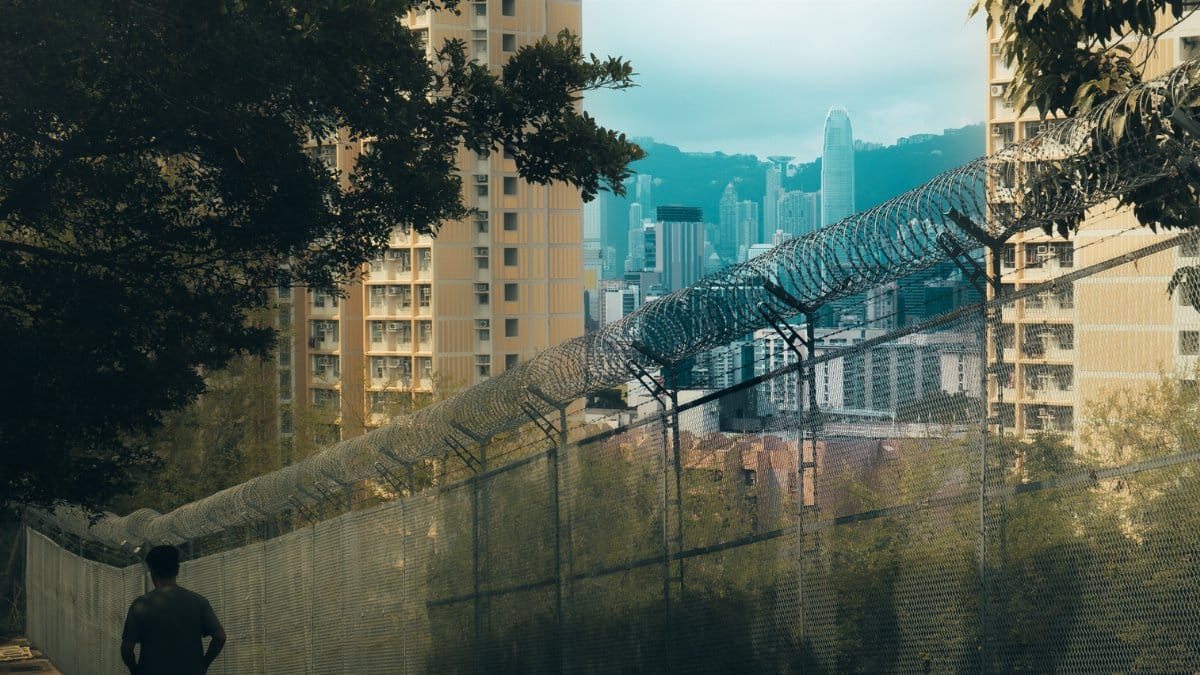 View of Kowloon's skyline through trees and a fence, capturing urban and natural elements.