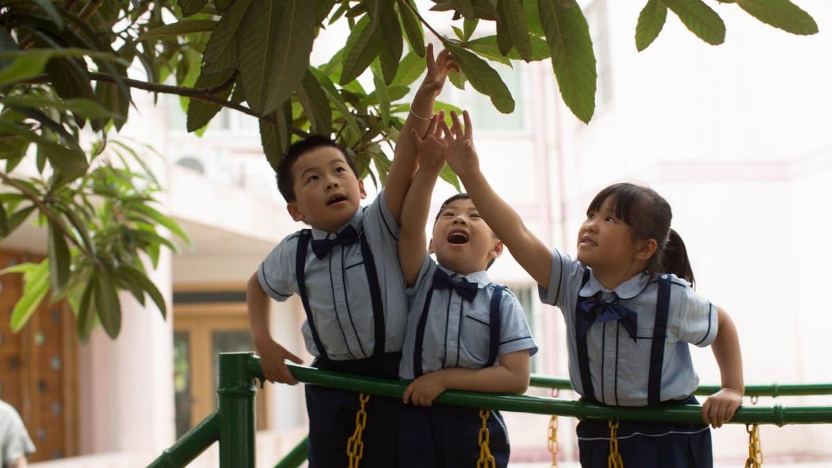 Three children in school uniforms reach for tree leaves on a sunny day, showcasing curiosity.