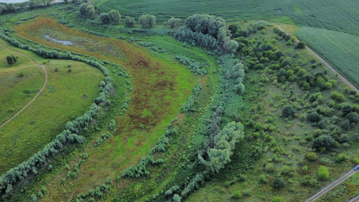 Aerial view of lush green countryside with fields and trees.