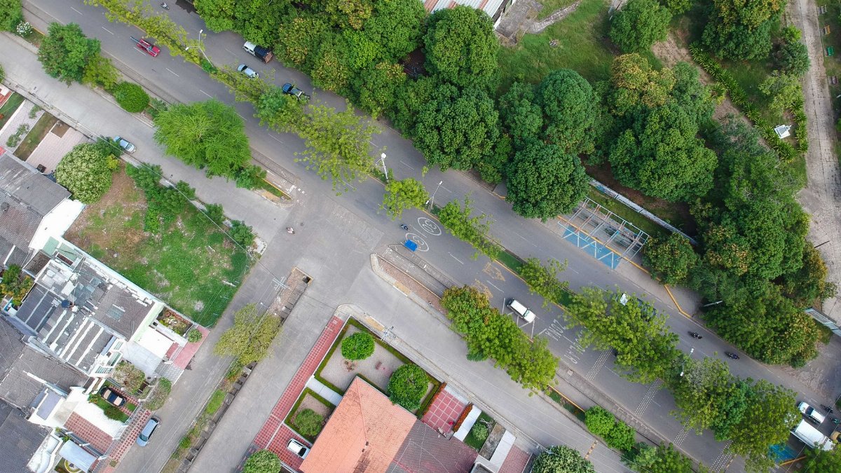 Aerial view of a tree-lined street and neighborhood in Montería, Córdoba, Colombia.