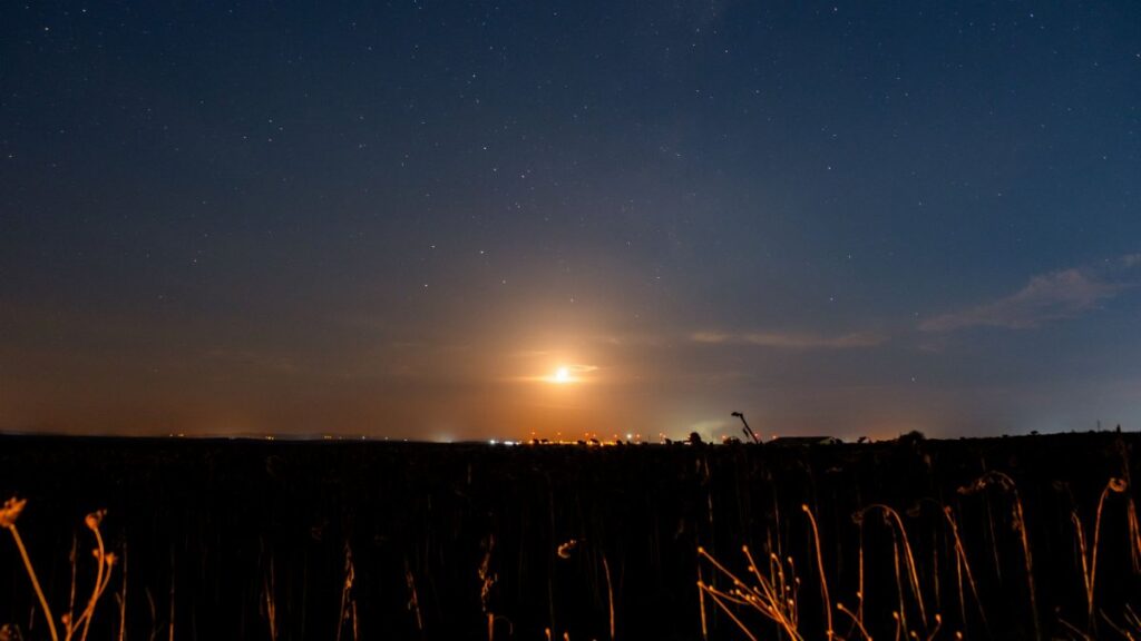 A serene nightscape capturing the beauty of stars and a rising moon over a quiet countryside.