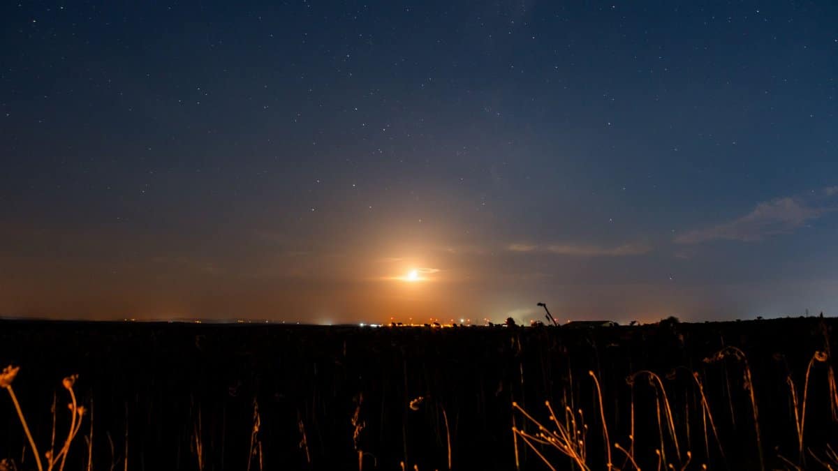 A serene nightscape capturing the beauty of stars and a rising moon over a quiet countryside.