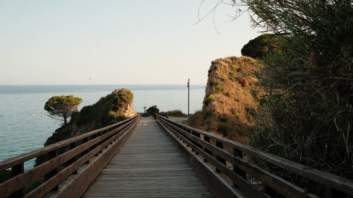 Wooden boardwalk leading to stunning coastal cliffs and sea at sunset.