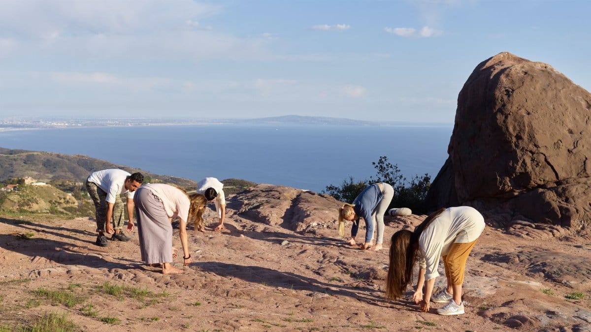Group of adults practicing yoga stretches on a cliff with ocean views, promoting relaxation and mindfulness.