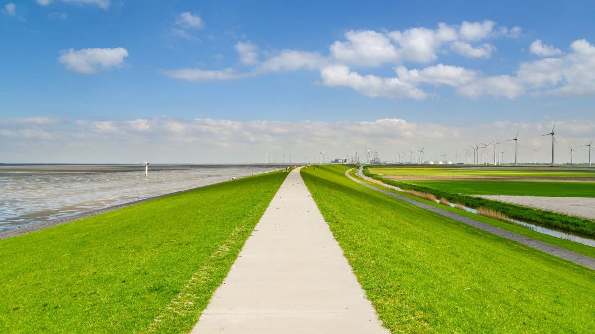 Discover a serene rural landscape with a path, green fields, and wind turbines on a sunny day.
