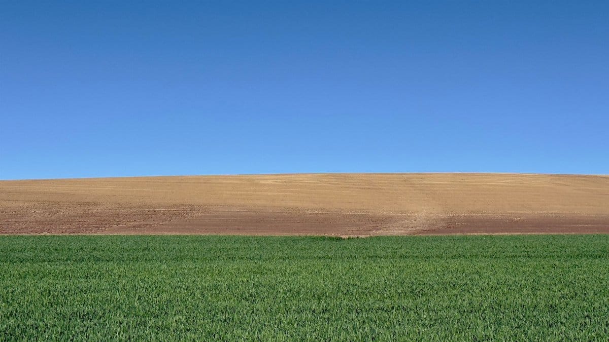 Expansive view of a green and brown agricultural field under a clear blue sky in Hungary.