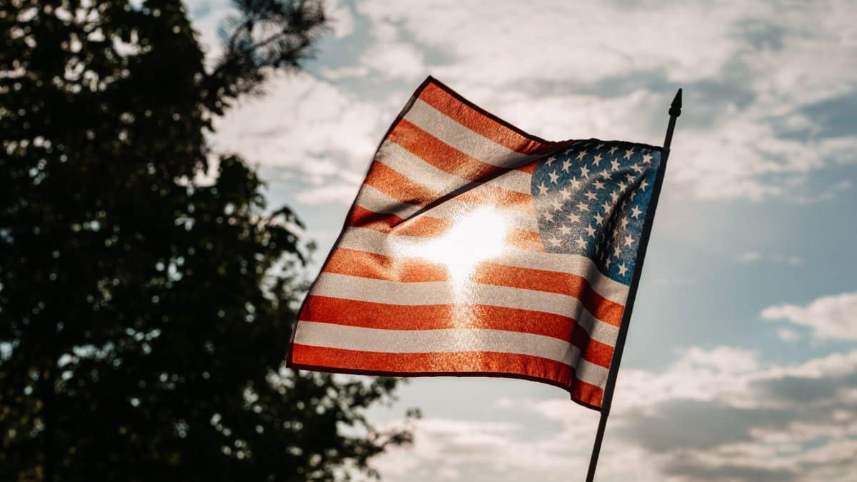 From below of pointed stick with colorful national flag of United States of America with flare on surface during 4th of July near tree under sky with clouds