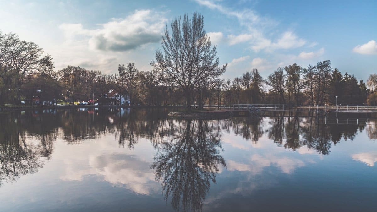 Serene landscape featuring a picturesque lake with clear reflections of trees and sky.