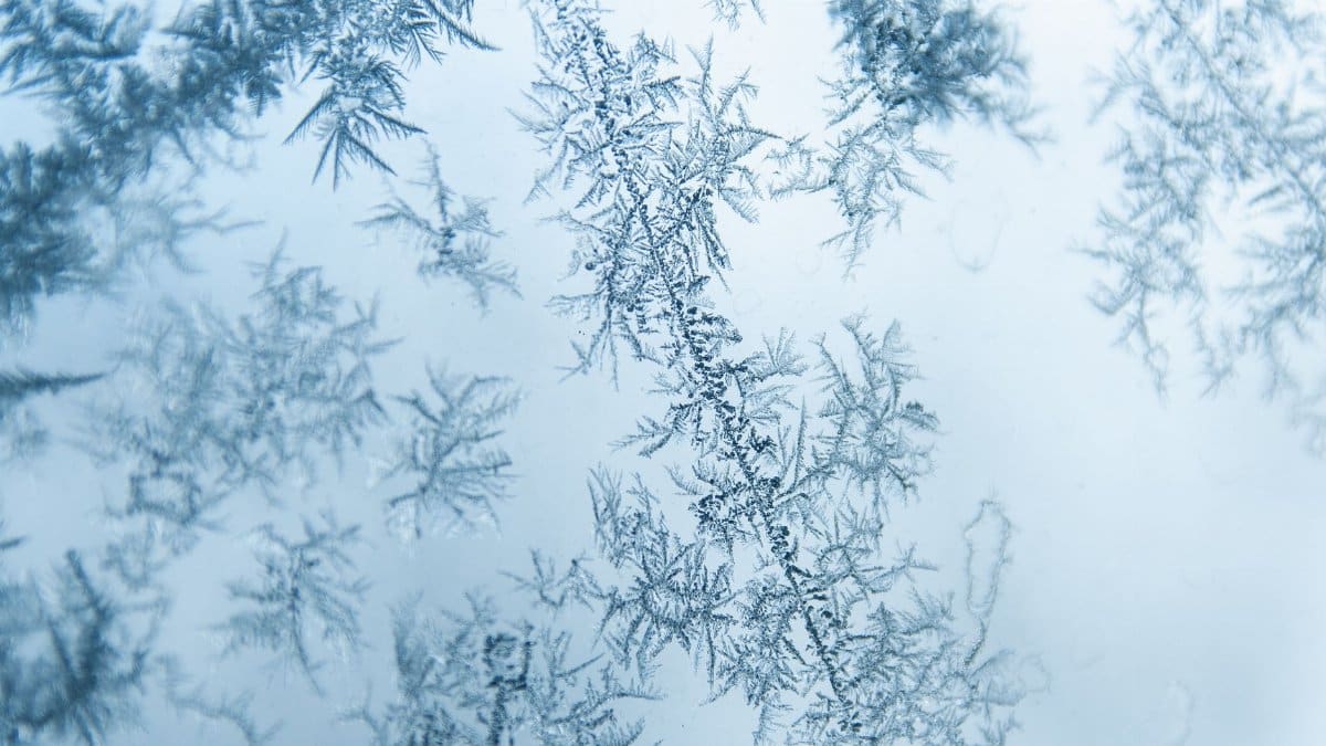 Close-up of beautiful frost patterns on a window, capturing winter's intricate designs.