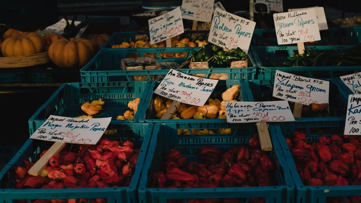 Vibrant peppers and spices at Maastricht market stall with pricing signs.