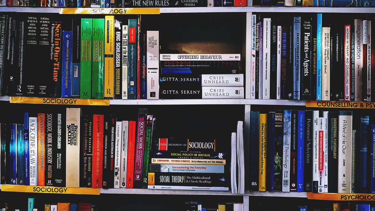 A vibrant collection of sociology books on a well-organized bookshelf.