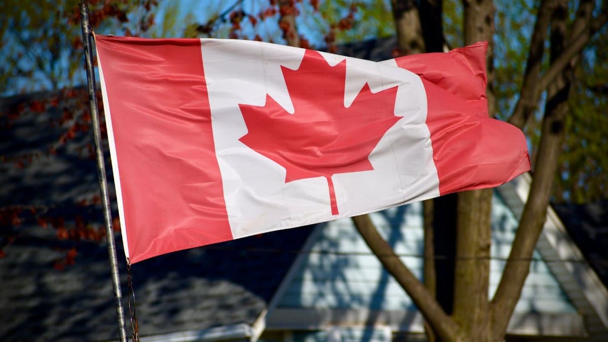 A vibrant Canadian flag, featuring the iconic maple leaf, waves outdoors in a sunny setting.