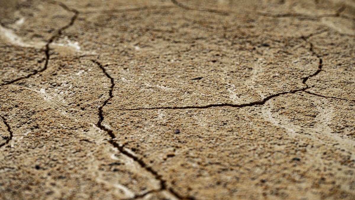 Close-up view of dry, cracked earth texture with intricate patterns.