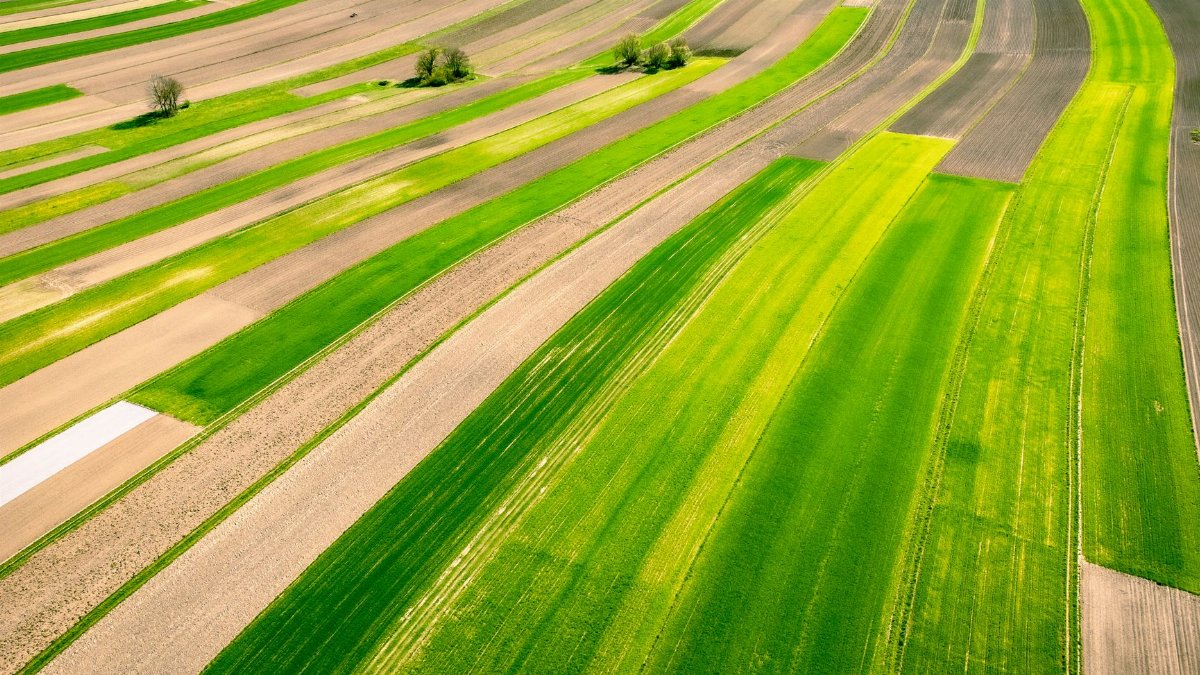 Vibrant green fields in Polska captured from above, showcasing the beauty of Polish countryside in springtime.