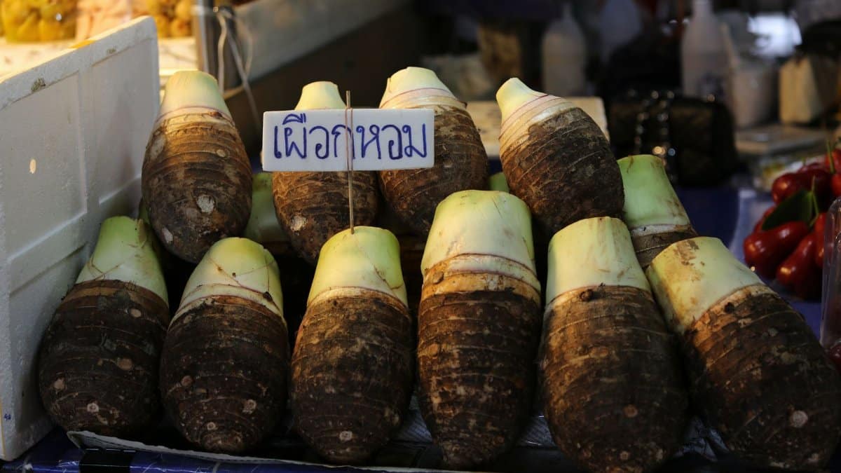 A stack of taro roots showcased at a bustling indoor market in Thailand.