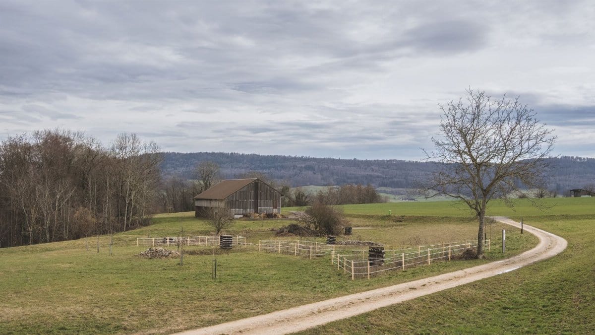 Idyllic rural landscape featuring a barn, fields, and a dirt road under a cloudy sky.